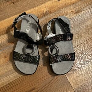 Alegria EU Size 35 US 5 - 5.5 Sandals JUL-582 Julia Black Rainbow Metallic Women